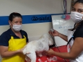 PELUQUERIA 4.jpg