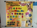 PLACAS.jpg