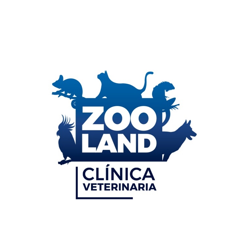 Clinica Veterinaria Zooland